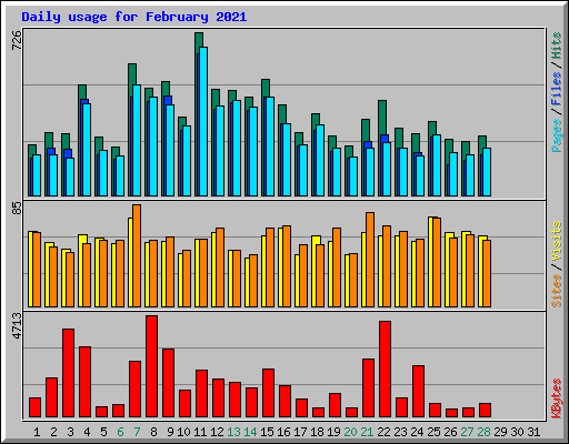 Daily usage for February 2021