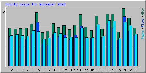 Hourly usage for November 2020