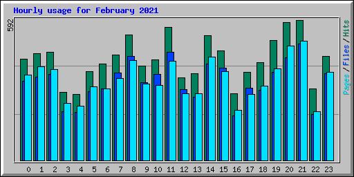 Hourly usage for February 2021