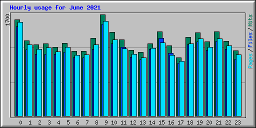 Hourly usage for June 2021