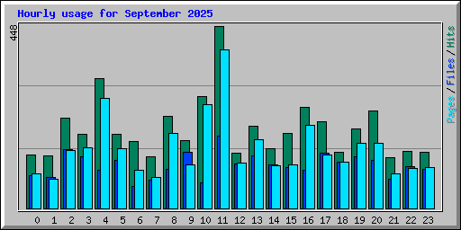 Hourly usage for September 2025