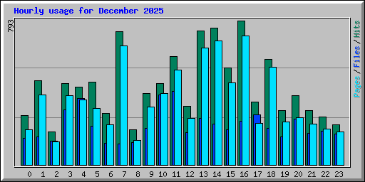Hourly usage for December 2025