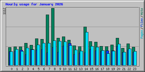 Hourly usage for January 2026