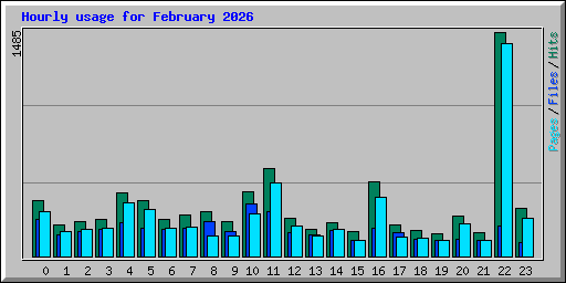 Hourly usage for February 2026