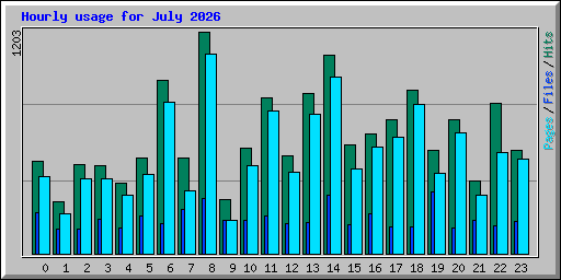 Hourly usage for July 2026